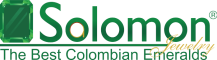 logo-web-solomon.png